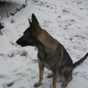 Meet your Posher, Meagan